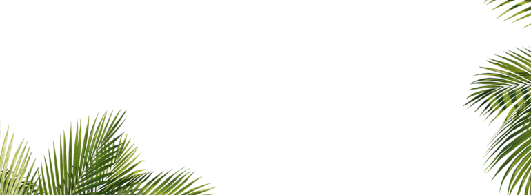 slider 01 color background copy